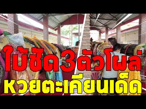 ใบ้ชัด-เลขแม่ตะเคียนวัดหลวงพ่อ ใบ้ชัด-เลขแม่ตะเคียนวัดหลวงพ่อ