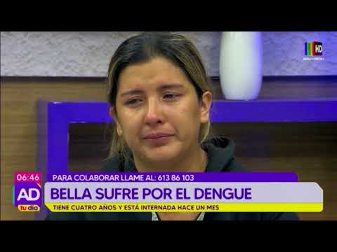 El dengue está afectando a Bella y necesita ayuda