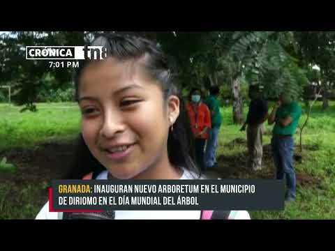 Inauguran Arboretum en Granada en el Día Mundial del Árbol - Nicaragua