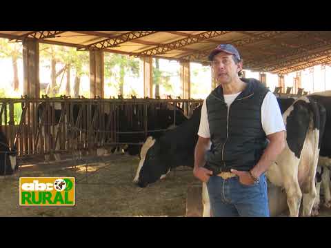 ABC Rural Programa 27: Criterios para encarar apareamiento correctivo en vacas lecheras