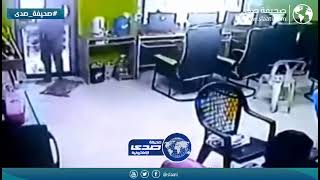 افعى سامة تفاجئ شبان