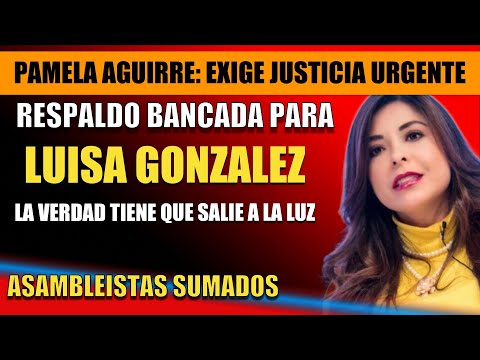 Asambleísta Electa Pamela Aguirre EXIGE Justicia: ¿Quién Intentó Asesinar a Luisa González?