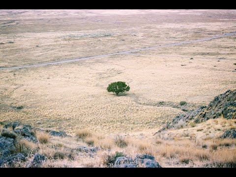 Reflexión desde el Evangelio de hoy con un texto de Juan de la Cruz - Martes 25 de junio de 2024