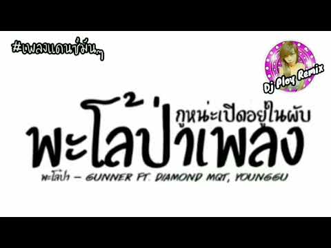 เพลงแดนซ์มันๆ(พะโล้ป่า-Gun