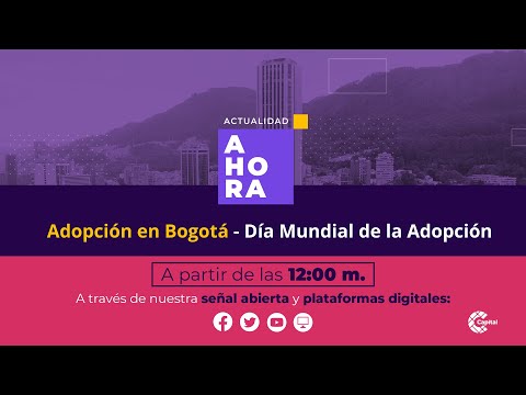 Adopción en Bogotá - Día Mundial de la Adopción | AHORA | ? EN VIVO