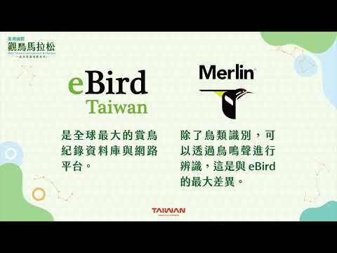 來雲嘉南觀鳥-『觀鳥篇』