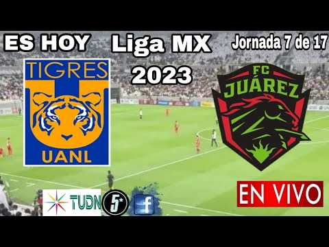 Tigres vs. Juárez en vivo, donde ver, a que hora juega Tigres vs. Juárez Liga MX 2023