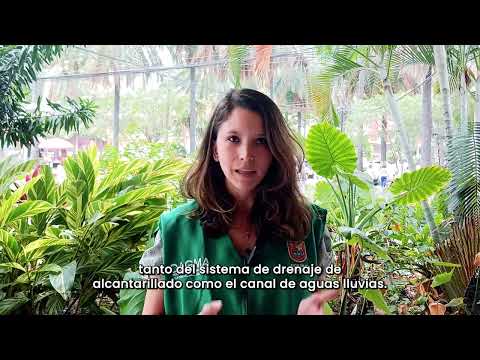 Entrevista a María Fernanda Arbeláez, líder de Recurso Hídrico del Dagma