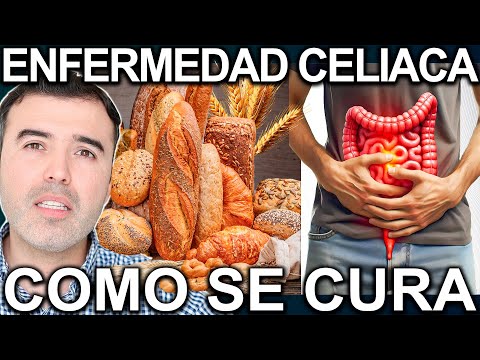 ¡CUIDADO! ENFERMEDAD CELIACA Como Se Cura? Lo Que Debes Saber Para Evitar Destrucción de  Intestino