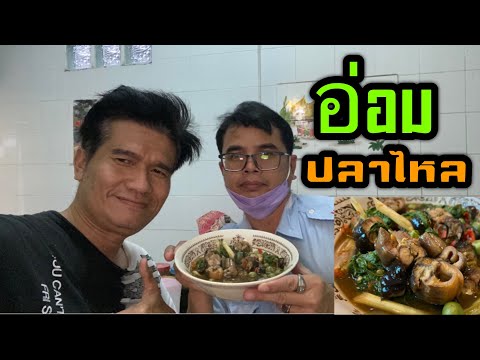อ่อมปลาไหล อ่อมปลาไหล