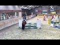Show jumping horse Super fijne allrounder