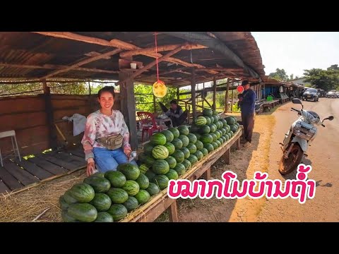 ຮ້ານຂາຍໝາກໂມຫວານບ້ານຖ້ຳ,ເມືອ