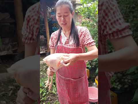 ข้าวเหลืองเนื้อไก่สูตรคุณแม่น้ ข้าวเหลืองเนื้อไก่สูตรคุณแม่น้