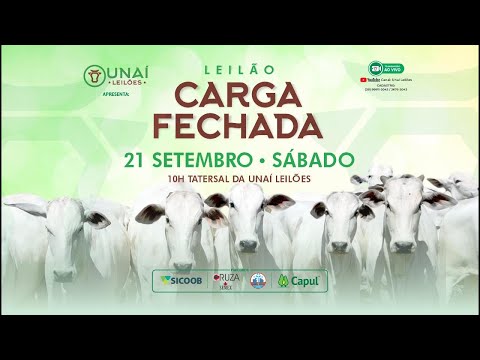 LEILÃO CARGA FECHADA DA UNAÍ LEILÕES - 21-09-2024