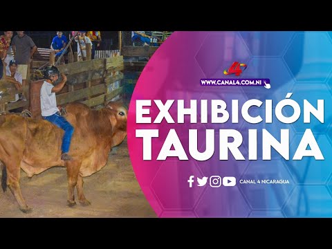 Emocionante exhibición taurina en honor a la Virgen de Fátima en Nagarote