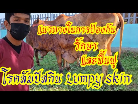 แนวทางในการป้องกัน-รักษา-ฟื้นฟ แนวทางในการป้องกัน-รักษา-ฟื้นฟ