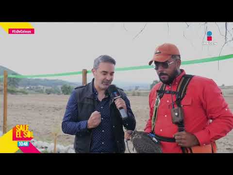 ¿Qué es la cetrería? Mauricio Islas nos da una demostración desde el Santuario Cerro del Viento