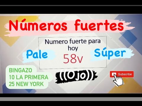 NUMERO PERFECTO PARA HOY MARTES 01/02/2022. BINGO 10 PRIMERA, 25 NEW YORK. Numeros para ganar hoy