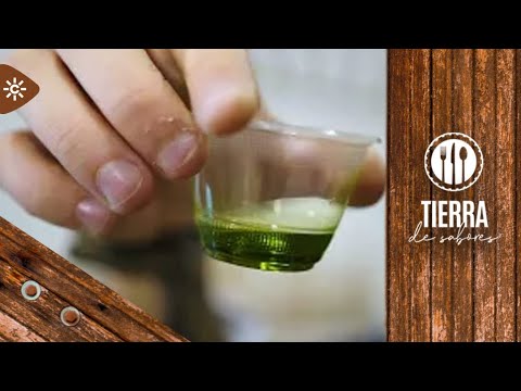Tierra de sabores | 'Master class' de cata de aceite de variedad royal, endémica de Cazorla