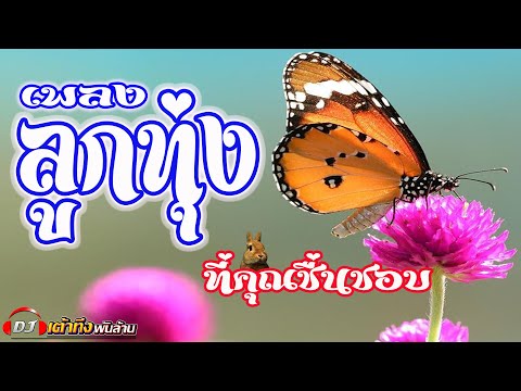 อัลบั้มเพลงลูกทุ่ง-ที่คุณชื่นช อัลบั้มเพลงลูกทุ่ง-ที่คุณชื่นช