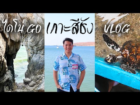 ไดโน่GOเกาะสีชัง|VLOG