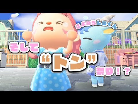 【あつ森】マイル旅行券３枚orランダム…？！？！