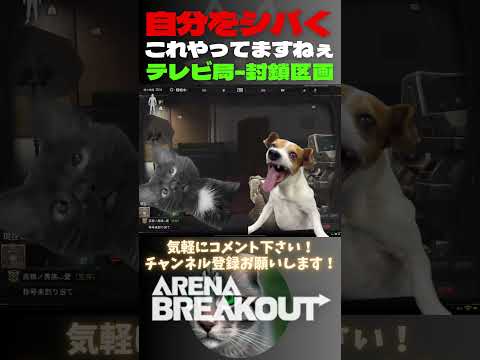 自分をシバく😿テレビ局-封鎖区域【Arena Breakout】#arenabreakout #暗区突围 #アリーナブレイクアウト #fps