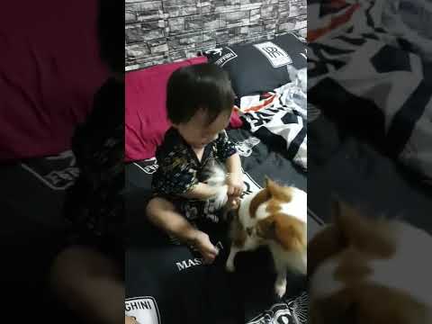 18มกราคมค.ศ.2022