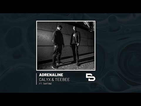 Adrenaline | Calyx & TeeBee DJ Set (ft. Tartine)