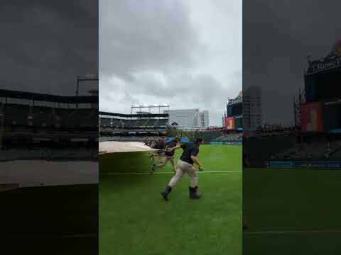 POV: Taking the tarp off the field in the #Postseason