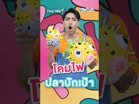 โคมไฟปลาปักเป้า|สอนศิลป์sho