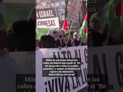 Miles de personas llenan las calles de Madrid para pedir el fin del genocidio contra Palestina
