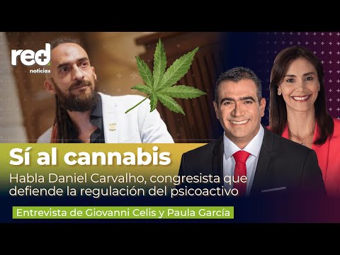 Daniel Carvalho explica cómo sería la legalización de la marihuana en Colombia | Red+