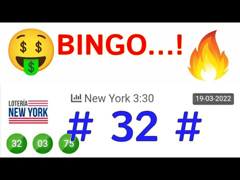 ÉXITOS..! (( 32 )) BINGO HOY loteria NEW YORK TARDE HOY | LOS NÚMEROS que MÁS SALEN EN las LOTERÍAS