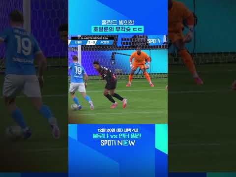 호일룬에게서 홀란드의 향기가 난다 