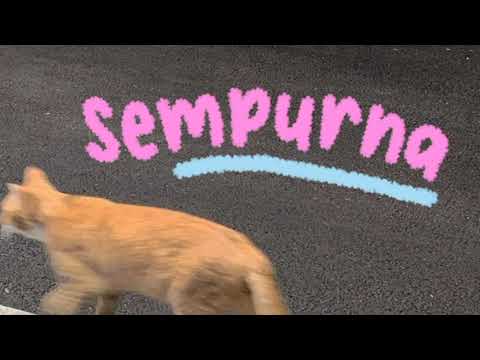 sempurna — andra and the backbone ( slowed / tiktok version ).