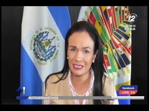 Análisis de misión de observadores OEA señala al Tribunal Supremo Electoral