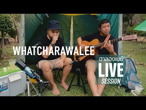 ฮาลองเบย์-LIVE-SESSION---วัชรา ฮาลองเบย์-LIVE-SESSION---วัชรา