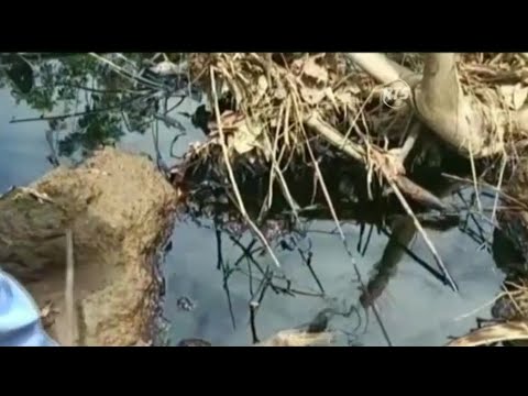 Contaminación por derrame de petróleo en Sucumbíos