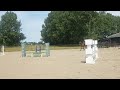 Show jumping horse (NEW VIDEO!) Talentvol springpaard (Grand Slam x Indoctro)