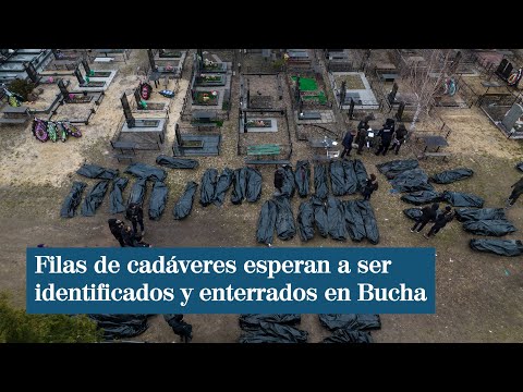 Filas de cadáveres en Bucha a la espera de ser enterrados e identificados