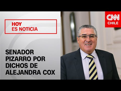 Senador Pizarro por dichos de Cox: “Pareciera que no tiene idea de cómo viven las familias chilenas”