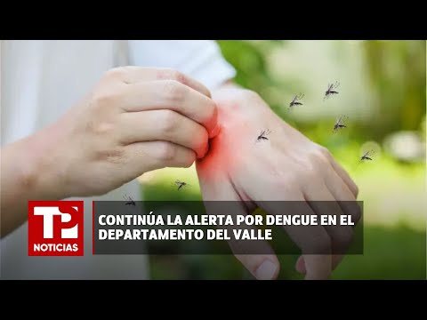 Continúa la alerta por dengue en el departamento del Valle |14.03.2024| TP Noticias