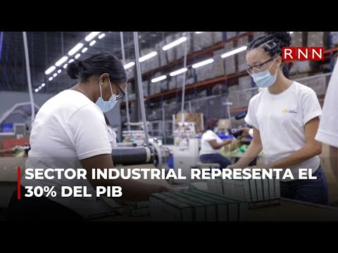 Sector industrial representa el 30% del PIB