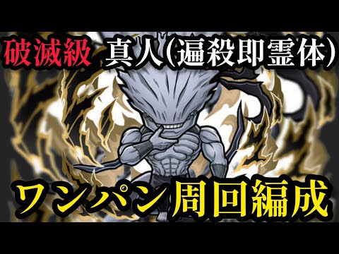 真人(遍殺即霊体)破滅級ワンパン周回編成【コトダマン】