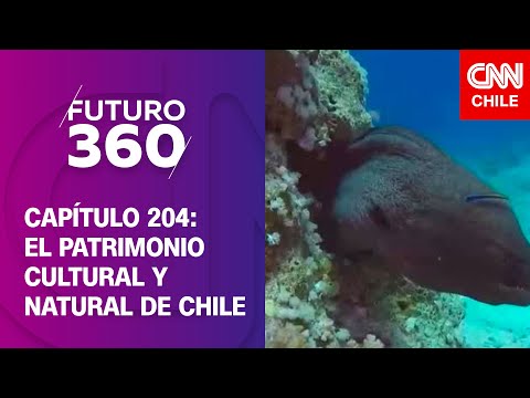 La importancia del patrimonio cultural y natural de Chile | Futuro 360 | Capítulo 204