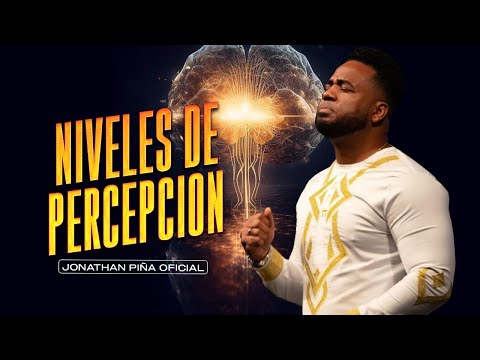 NIVELES DE PERCEPCION - JONATHAN PIÑA