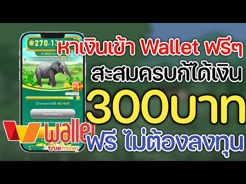 สอนหาเงินเข้าWalletฟรี300บา