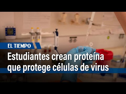 Estudiantes de la Universidad Javeriana crean proteína para proteger células de virus | El Tiempo