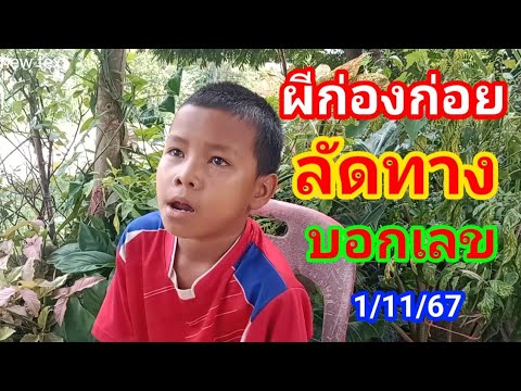 ผีก่องก่อยลัดทางบอกเลข11167